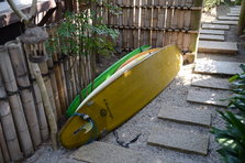 D4X_2107.JPG