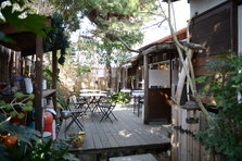 D4X_2115.JPG