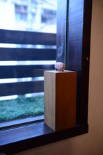 D4X_1542.JPG