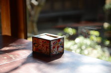 D4X_1626.JPG