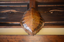 D4X_1653.JPG