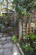 D4X_1760.JPG