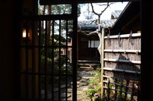 D4X_1772.JPG