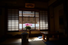 D4X_1774.JPG