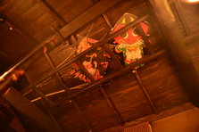 D4X_2539.JPG