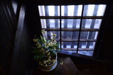 D4X_2550.JPG
