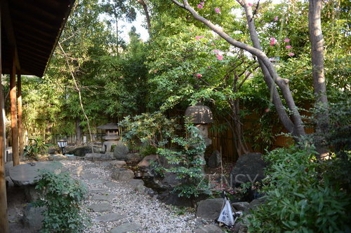 D4X_0773.JPG