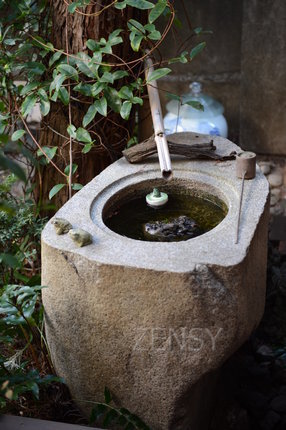 D4X_0724.JPG