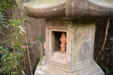 D4X_0746.JPG