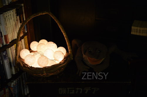 D4X_2619.JPG