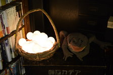 D4X_2621.JPG