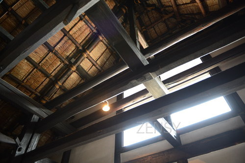 D4X_2359.JPG