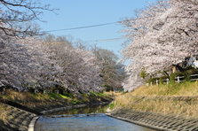 多布施川河畔公園.JPG