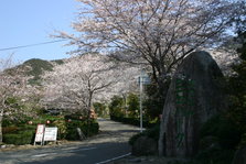 巨石パーク.JPG