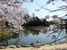 神野公園３.JPG