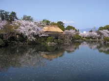 神野公園