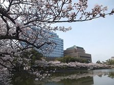 樱0404