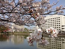 IMG_4048