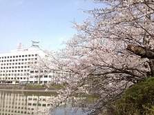 IMG_4050