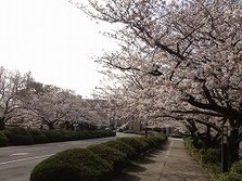 IMG_4055