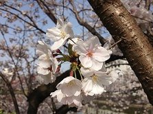 IMG_4058
