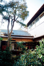D4X_0737.jpg