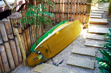 D4X_2107.jpg