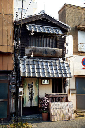 D4X_2552.jpg