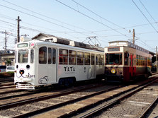 DSC00403.jpg