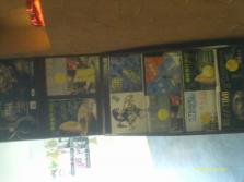 IMAG0040.JPG