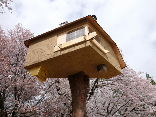 addition+茶室徹2.JPG