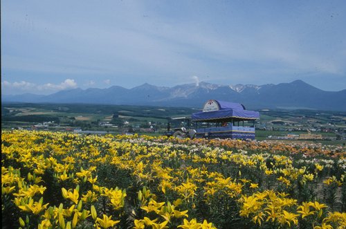 上富フラワーランド