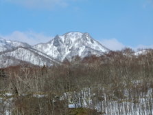 11猫山CIMG2704.JPG