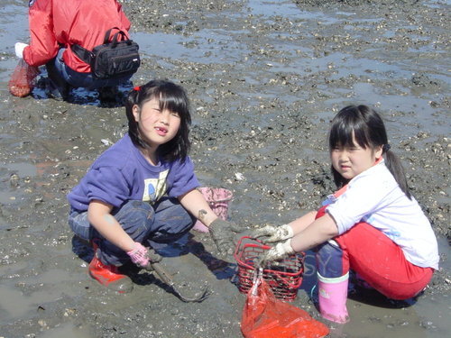 shiohigari3.jpg