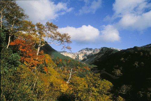 上富十勝岳温泉
