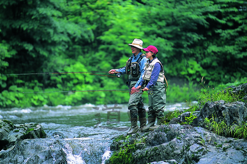 14（フィッシング）