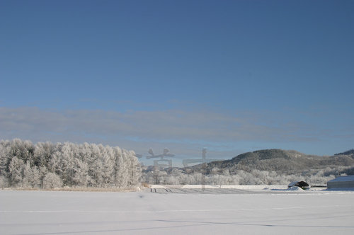冬風景