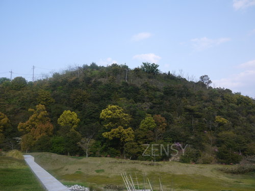 P1290845.JPG