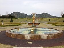 IMG_4118