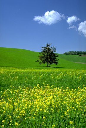3002