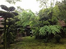 九年庵春季开放0523