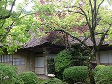 IMG_4357