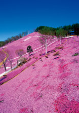 20120105_008.jpg