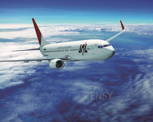 JAL 737-8w_angle-c.jpg