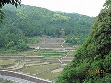 IMG_1334