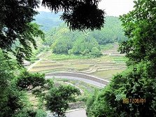 IMG_1335