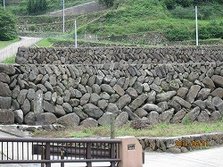 IMG_1339