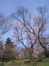 DSC03752