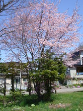 DSC03770