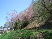 DSC03771